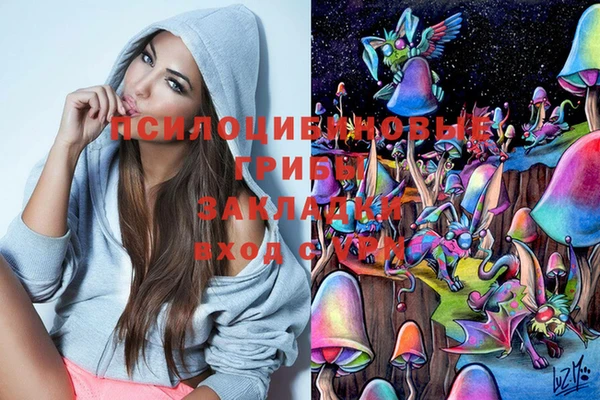 a pvp Вязьма