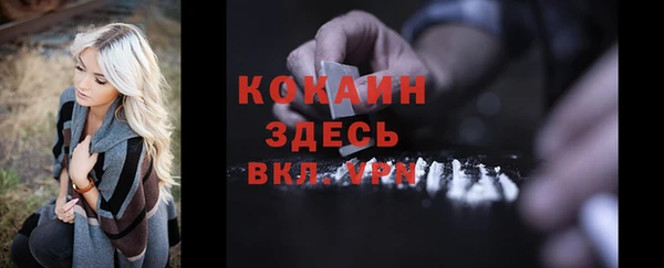 гашик Гусев
