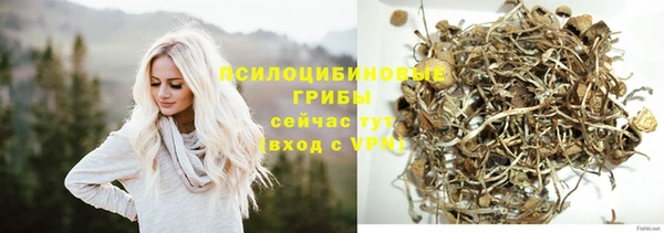spice Вязники